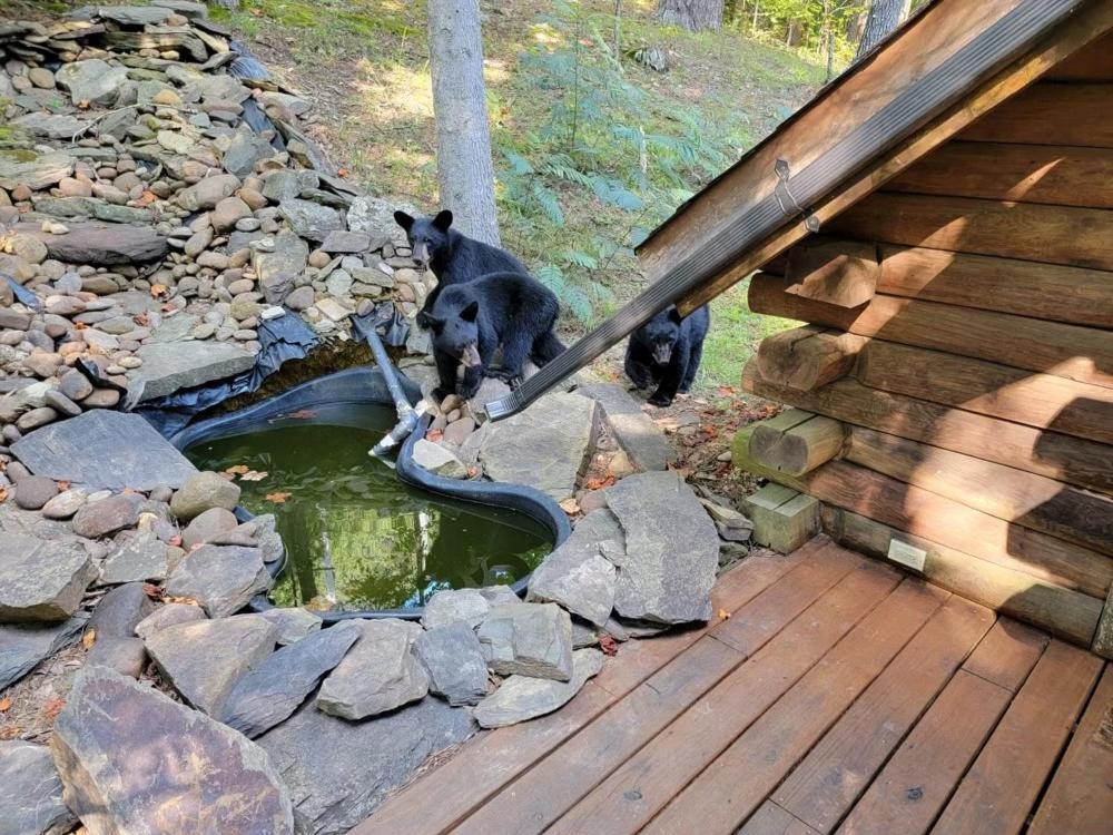 Very Private, Real Log Cabin With Hot Tub! Sevierville Dış mekan fotoğraf