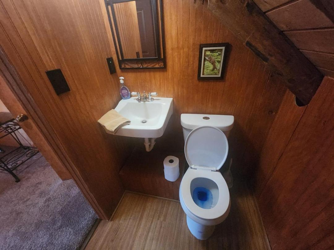 Very Private, Real Log Cabin With Hot Tub! Sevierville Dış mekan fotoğraf